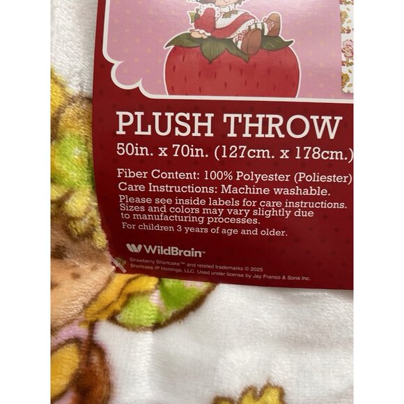 Strawberry Shortcake & Friends FALL  Autumn Soft Plush Throw Blanket 50 X 70” - Picture 3 of 16